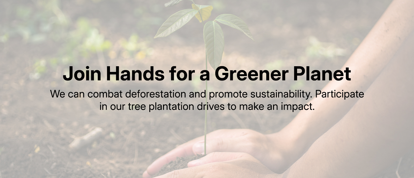 1600x688 Tree planted images